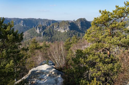 Zandstenen kliffen en bomen in Saksisch Zwitserland