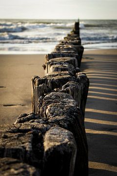 Shadows in the sand