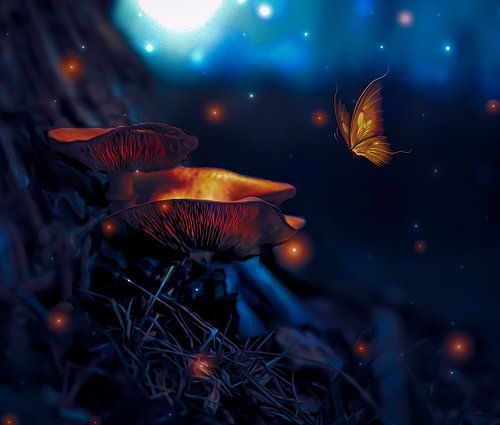 dromerige nacht paddestoel