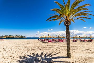 Baai van Alcudia strand, prachtige kust op het eiland Mallorca van Alex Winter