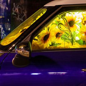 Zonnebloemen in een BMW Mini van Evert Jan Luchies