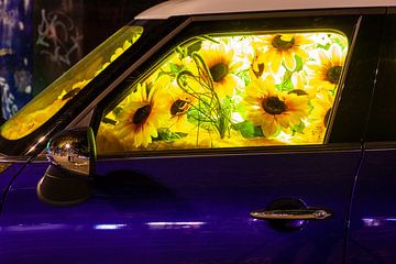 Zonnebloemen in een BMW Mini van Evert Jan Luchies