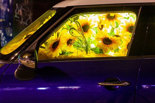 Sunflowers in car