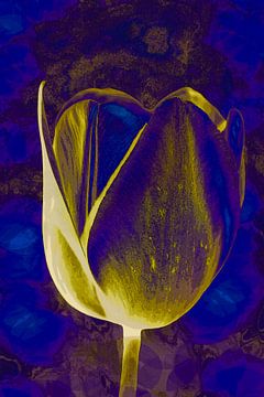 Tulp in Delfts blauw en Goud. van Alie Ekkelenkamp