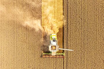 Mähdrescher bei der Weizenernte im Sommer von oben gesehen