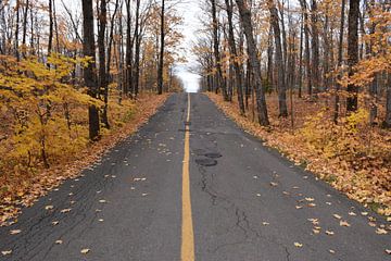 A deserted road in autumn by Claude Laprise
