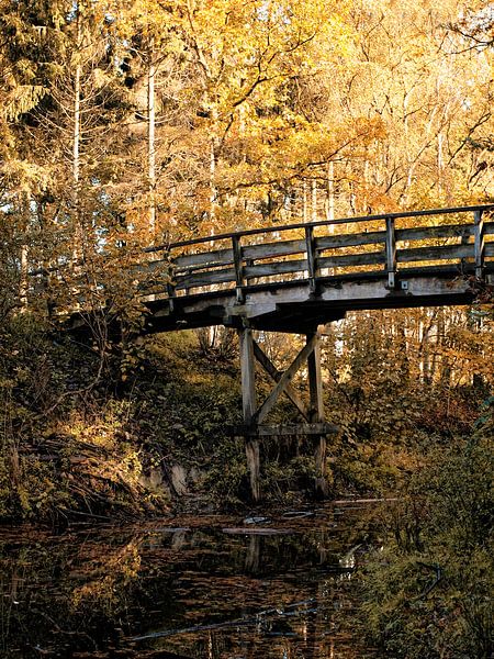 Bridge by Harrie van der Meer