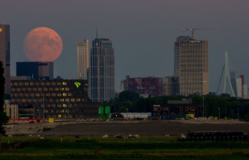 Rotterdam Full moon by Brandon Bouwman