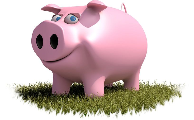 Happy Farm Animal Isaak the Pig van Elly Michiels-Fleuren