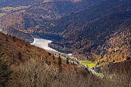 Le Honeck / Route des Cretes (Vogesen)