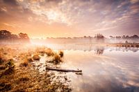 Perfect Sunrise