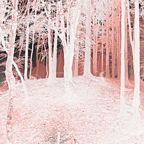 De energie van de natuur