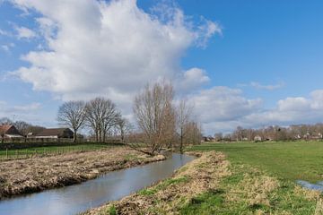 De Limburgse Bleijenbeek aan het begin  van de lente