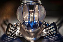 Alien Insect by Rob Boon