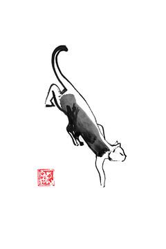 sluipende kat van Péchane Sumie