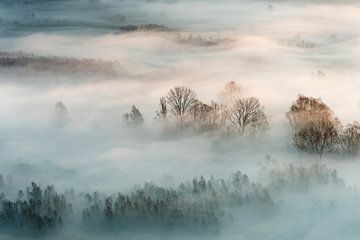 brouillard d'hiver, Marco Galimberti sur 1x