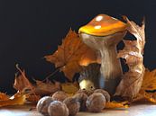 HERFSTDECORATIE van Photoart-Naegele thumbnail