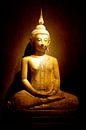 Boeddha van Thomas Herzog thumbnail