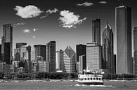 CHICAGO Skyline | Monochroom van Melanie Viola thumbnail