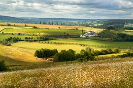 Say for yourself by peter reinders