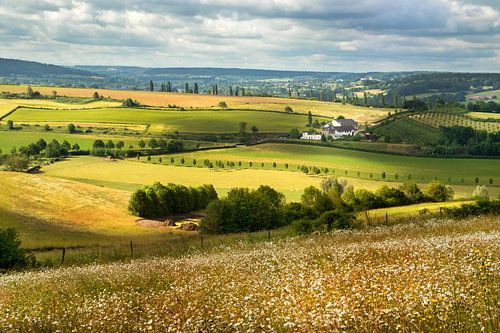 Dites-le pour vous-même