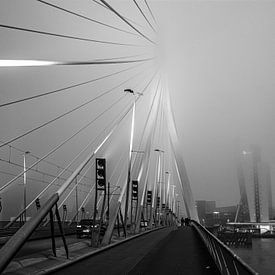 Die neblige Erasmusbrücke mit der Skyline von Rotterdam entlang der Maas im Hintergrund von Mike Bot PhotographS