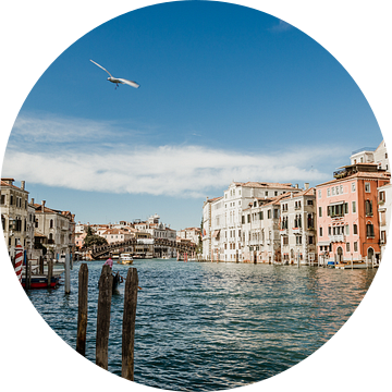 Het kleurrijke Canal Grande in Venetië, Italie van Art Shop West