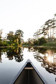 Canoe sailing in the bayou in New Orleans, United States by Moniek Kuipers