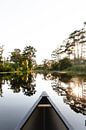 Kano die vaart in de bayou in New Orleans, Verenigde Staten van Moniek Kuipers thumbnail