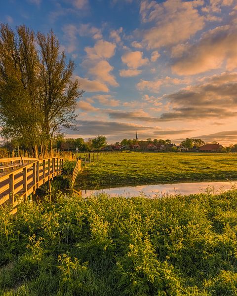 Un matin de printemps à Niehove par Henk Meijer Photography