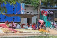 Reisfotografie: Groentestalletje in klein dorp in India