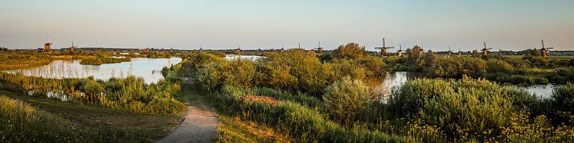 Panorama Mills Kinderdijk by Jelte Lagendijk