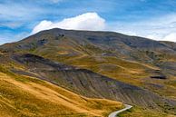 slingerweg door gouden bergen naar de Col de Vars van Hanneke Luit thumbnail