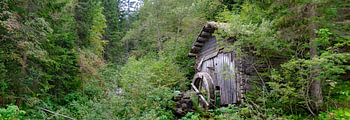 Oude molen