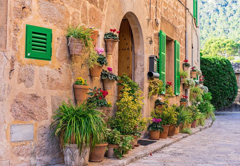 Traditionele huis ingang in het oude dorp van Valldemossa, Mallorca Spanje Balearen van Alex Winter