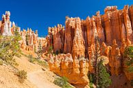 Bryce Canyon National Park van Henk Meijer Photography thumbnail