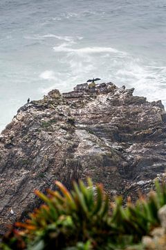 Vogel auf Felsen in stürmischer See