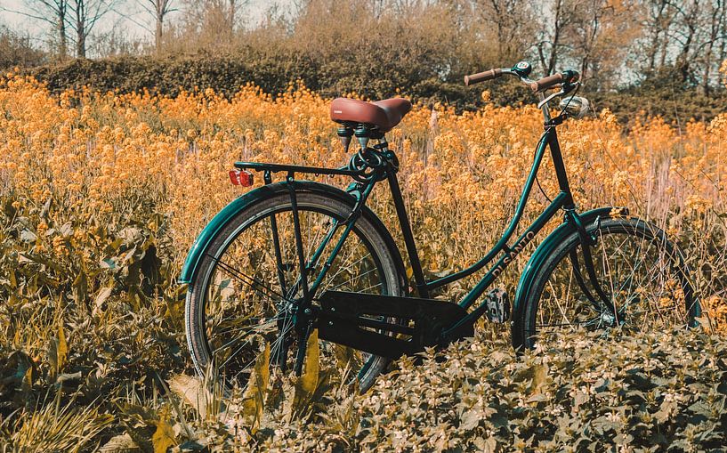 Vélo dans un champ de fleurs par Pix-Art By Naomi.k