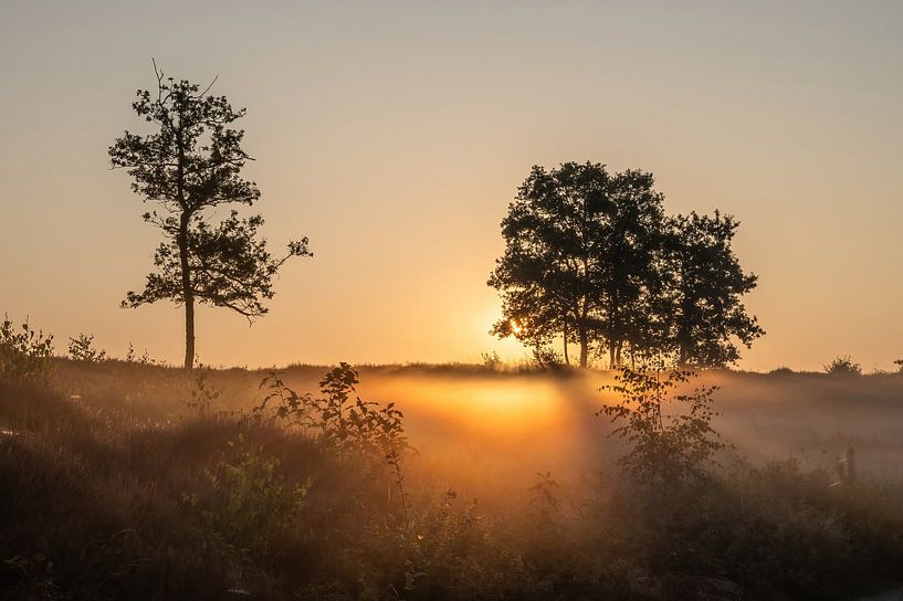 Hatertse and Overasseltse vennen part 36 by Tania Perneel