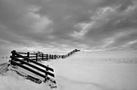 Winter in Stavoren Friesland van Peter Bolman thumbnail