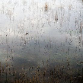 Unterwasser von Elke van Hessem