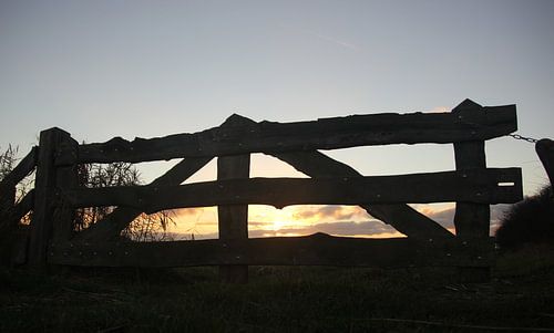 Texel Landschap 028