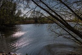 lac de Biesbosch sur Carin IJpelaar