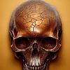 Rusty skull by Bert Nijholt