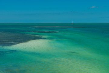 USA, Florida, Turquoise clear ocean water, blue sky by adventure-photos