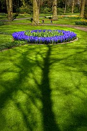 Le parc Keukenhof par une belle journée de printemps
