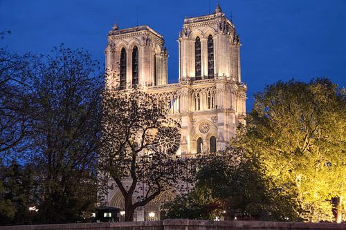 Kathedraal Notre Dame de Paris in de avond, Parijs