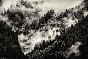 Alpen @ Sankt-Gallenkirch