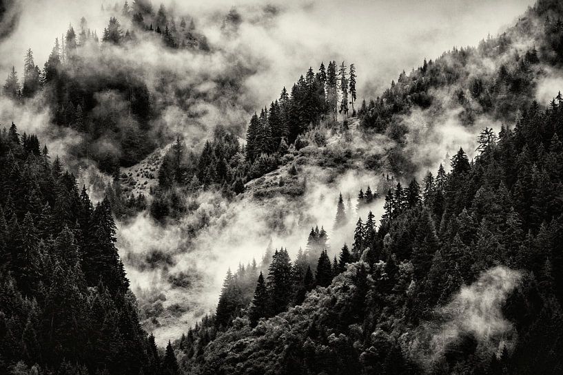 Alpes @ Sankt-Gallenkirch par Rob Boon