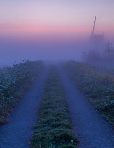 Le moulin à pantalon au petit matin brumeux